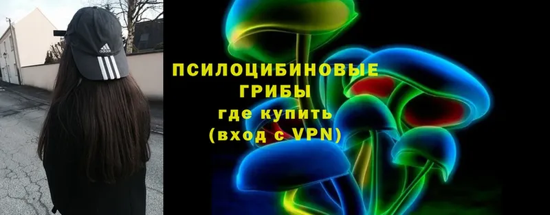 дарнет шоп  Велиж  shop состав  Псилоцибиновые грибы Psilocybe 